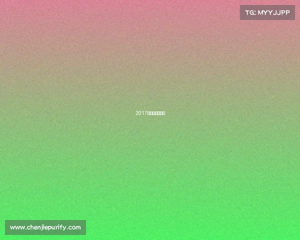 2017全国冰球锦标赛