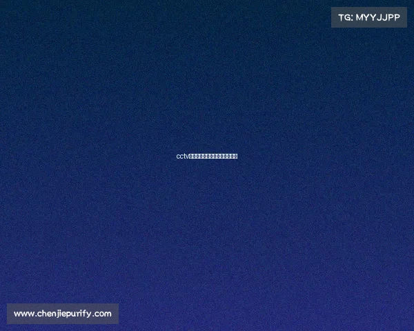 cctv风云体育赛事—央视体育风云会