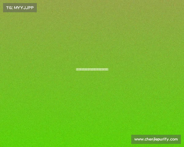 杭州梦竞未来电竞教育学院:开启职业电竞之路